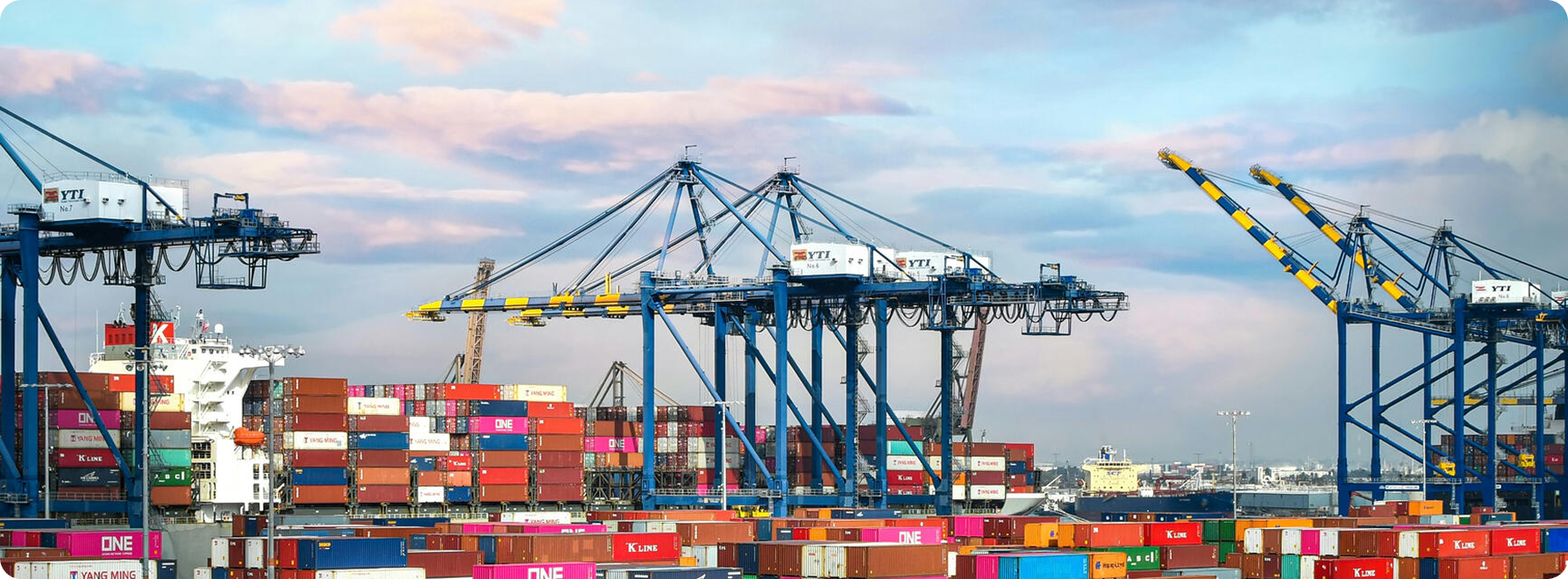 The impact of loyalty programs on the logistics industry